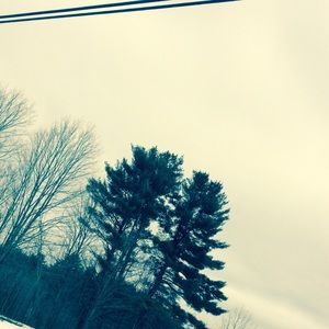 Meet your Posher, Bryce